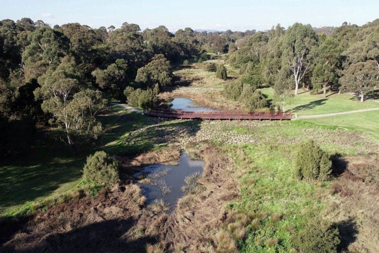 Aerial view of a creek winding through trees and grass